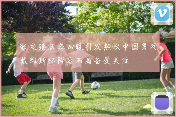 张之臻状态回暖引发热议中国男网戴维斯杯阵容布局备受关注