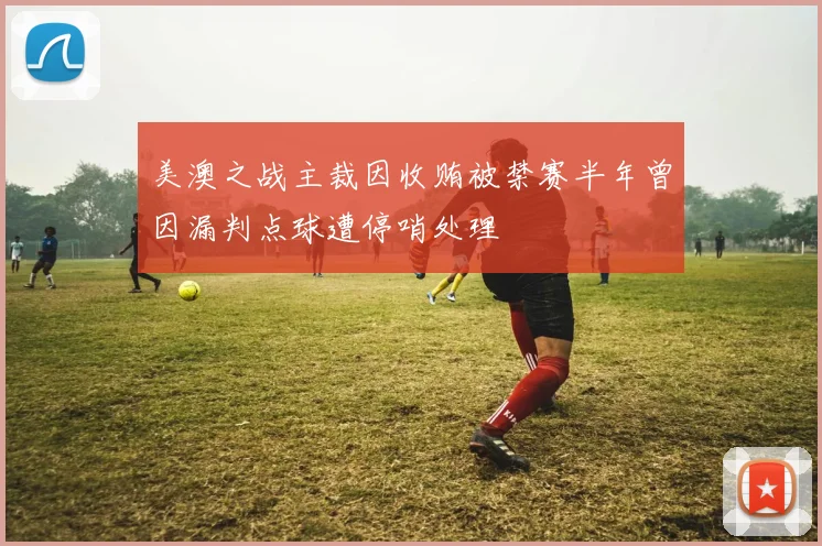 美澳之战主裁因收贿被禁赛半年曾因漏判点球遭停哨处理