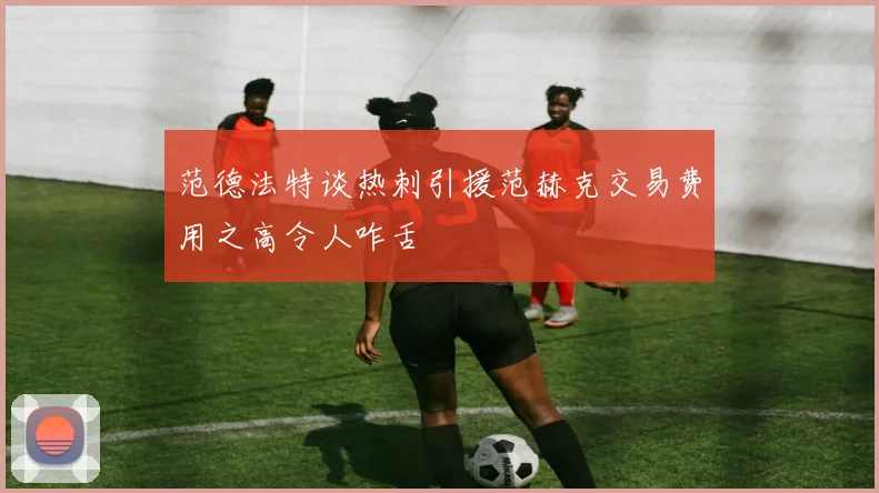 范德法特谈热刺引援范赫克交易费用之高令人咋舌